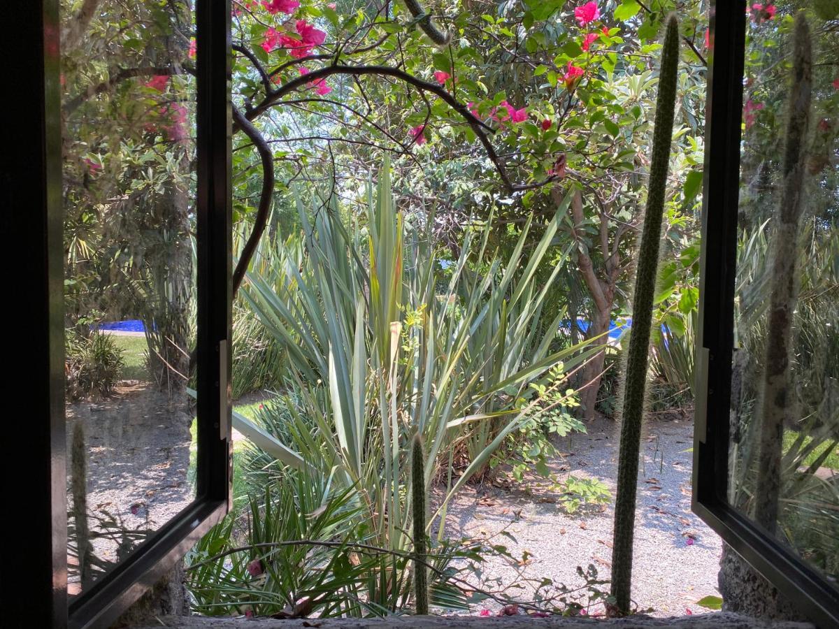 סאן חואן טאוטיחואקן Posada Colibri - Hotel & Spa מראה חיצוני תמונה